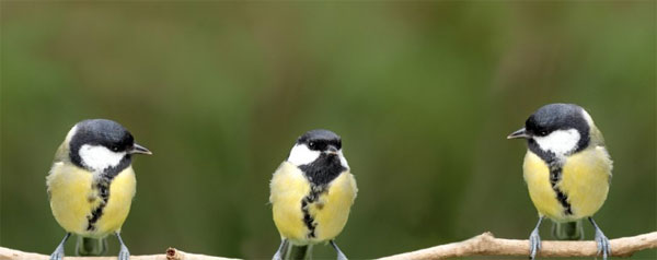 給老板的忠告：你不是皇帝，而你的員工也不傻