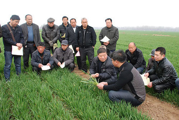 開展農技服務。