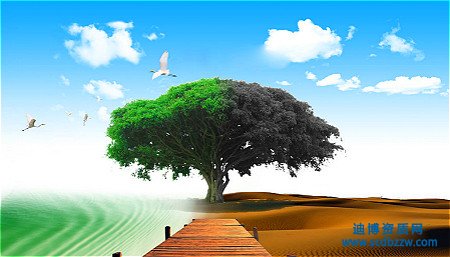 環(huán)保工程資質(zhì)代辦如何準(zhǔn)備資產(chǎn)？