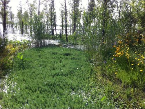 環(huán)保工程資質(zhì)