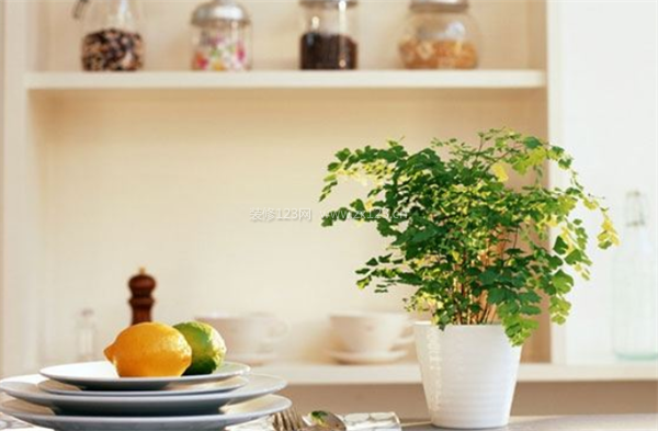 通風法去除甲醛