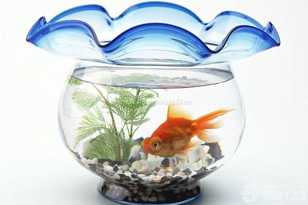 魚缸的擺放位置