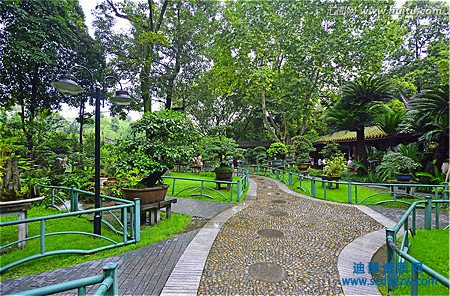 有帶園林綠化資質轉讓的嗎，購買園林綠化公司去哪找